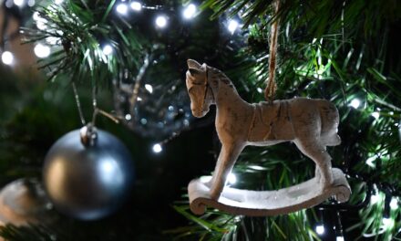 Energy Efficient Christmas Decorations