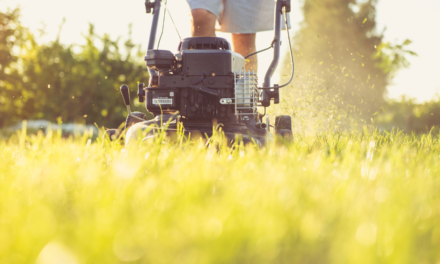 Energy Saving Tips For Your Garden