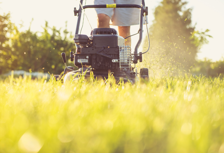 Energy Saving Tips For Your Garden