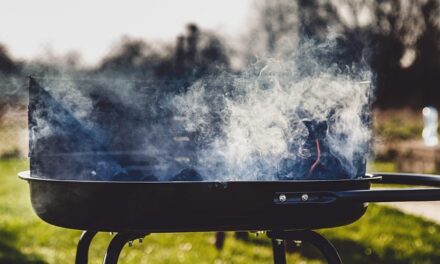 Ways To Make Your BBQ More Eco-friendly